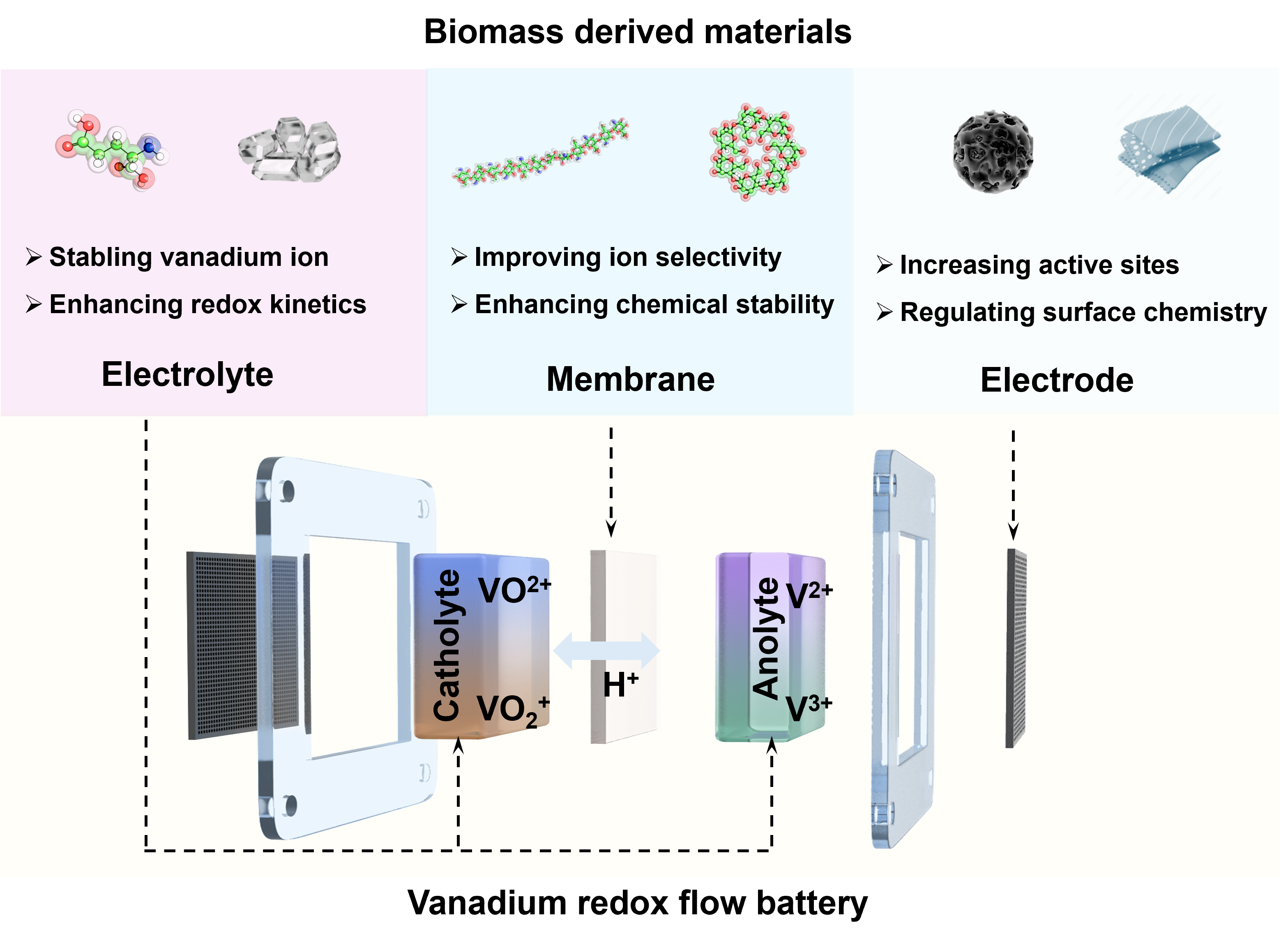 その他 TTK Physicochemical and functional properties of isolated proteins